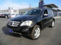 Black - ML 350 4Matic Photo No. 8