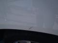 Stone White - Grand Caravan SE Photo No. 19