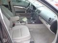 Lava Grey Pearl Effect - A3 2.0T Photo No. 41