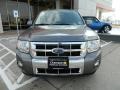 2009 Sterling Grey Metallic Ford Escape Limited  photo #2