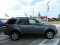 2009 Sterling Grey Metallic Ford Escape Limited  photo #4