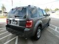 2009 Sterling Grey Metallic Ford Escape Limited  photo #5