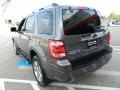 2009 Sterling Grey Metallic Ford Escape Limited  photo #7
