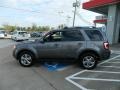 2009 Sterling Grey Metallic Ford Escape Limited  photo #8