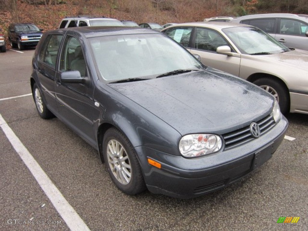 Blue Anthracite Metallic Volkswagen Golf