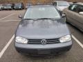 2006 Blue Anthracite Metallic Volkswagen Golf GLS 4 Door  photo #2