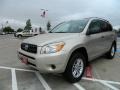 Beige Metallic - RAV4  Photo No. 7