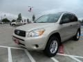 2006 Beige Metallic Toyota RAV4   photo #7