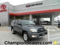 2004 Galactic Gray Mica Toyota 4Runner SR5  photo #1