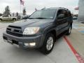 2004 Galactic Gray Mica Toyota 4Runner SR5  photo #7