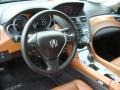 2010 Acura ZDX Umber Interior Dashboard Photo