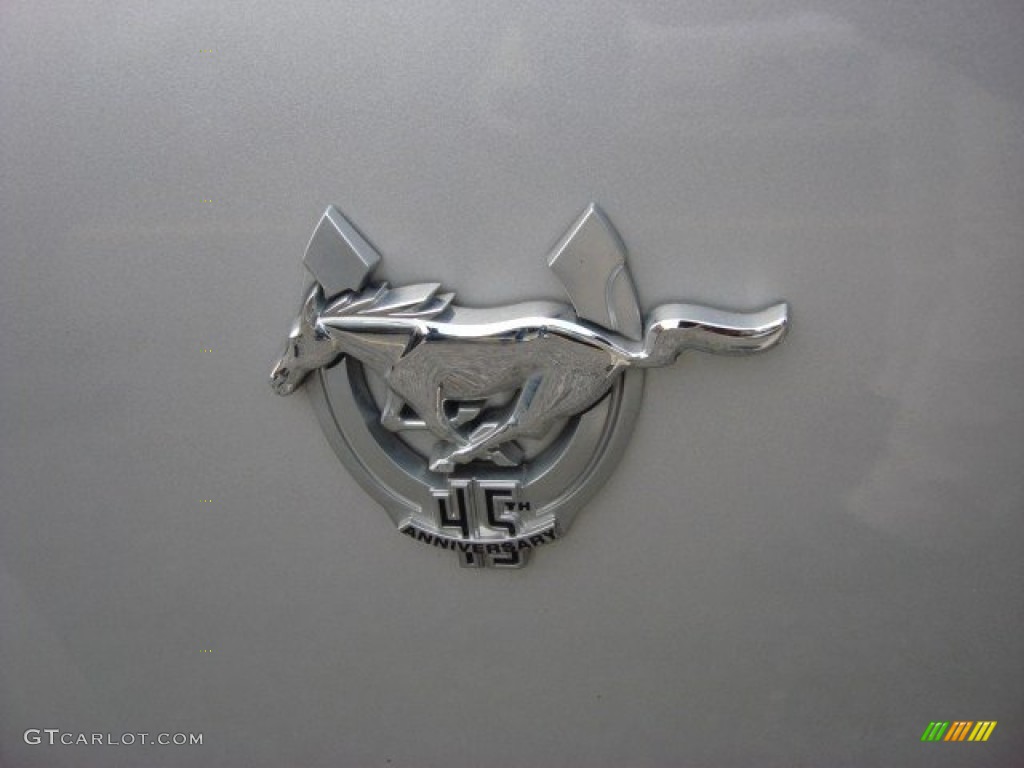 2009 Mustang V6 Premium Coupe - Brilliant Silver Metallic / Light Graphite photo #27
