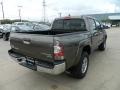 Pyrite Mica - Tacoma SR5 Prerunner Double Cab Photo No. 5