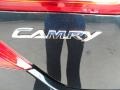 Cosmic Gray Mica - Camry XLE V6 Photo No. 15