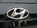 2012 Hyundai Santa Fe GLS Marks and Logos