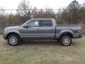 Sterling Gray Metallic 2012 Ford F150 Platinum SuperCrew 4x4 Exterior