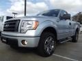 Ingot Silver Metallic - F150 STX Regular Cab Photo No. 3