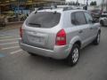 Platinum Metallic - Tucson GLS Photo No. 3