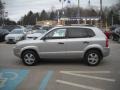 2007 Platinum Metallic Hyundai Tucson GLS  photo #6