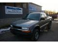 Light Pewter Metallic 2002 Chevrolet S10 ZR2 Extended Cab 4x4