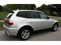 Titanium Silver Metallic - X3 3.0i Photo No. 10