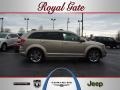 Light Sandstone Metallic 2009 Dodge Journey R/T