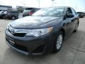 Magnetic Gray Metallic - Camry LE Photo No. 2