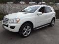 Arctic White - ML 350 4Matic Photo No. 8