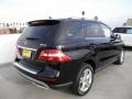 Black - ML 350 4Matic Photo No. 2