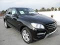 Black - ML 350 4Matic Photo No. 9