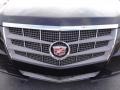 Black Raven - CTS 3.0 Sedan Photo No. 28