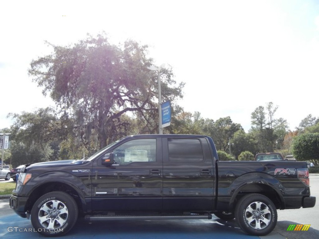 Tuxedo Black Metallic 2012 Ford F150 FX2 SuperCrew Exterior Photo #58363254