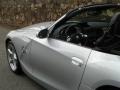 2008 Titanium Silver Metallic BMW Z4 3.0si Roadster  photo #19