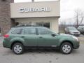 2012 Cypress Green Pearl Subaru Outback 2.5i  photo #8