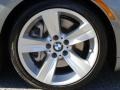 2009 Space Grey Metallic BMW 3 Series 335i Coupe  photo #20