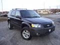 2006 Black Ford Escape XLT V6 4WD  photo #3