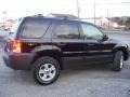 2006 Black Ford Escape XLT V6 4WD  photo #4