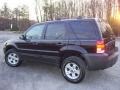 2006 Black Ford Escape XLT V6 4WD  photo #5