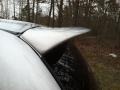Bright Silver Metallic - Caravan SE Photo No. 11