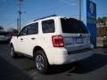 2010 White Suede Ford Escape XLT  photo #6