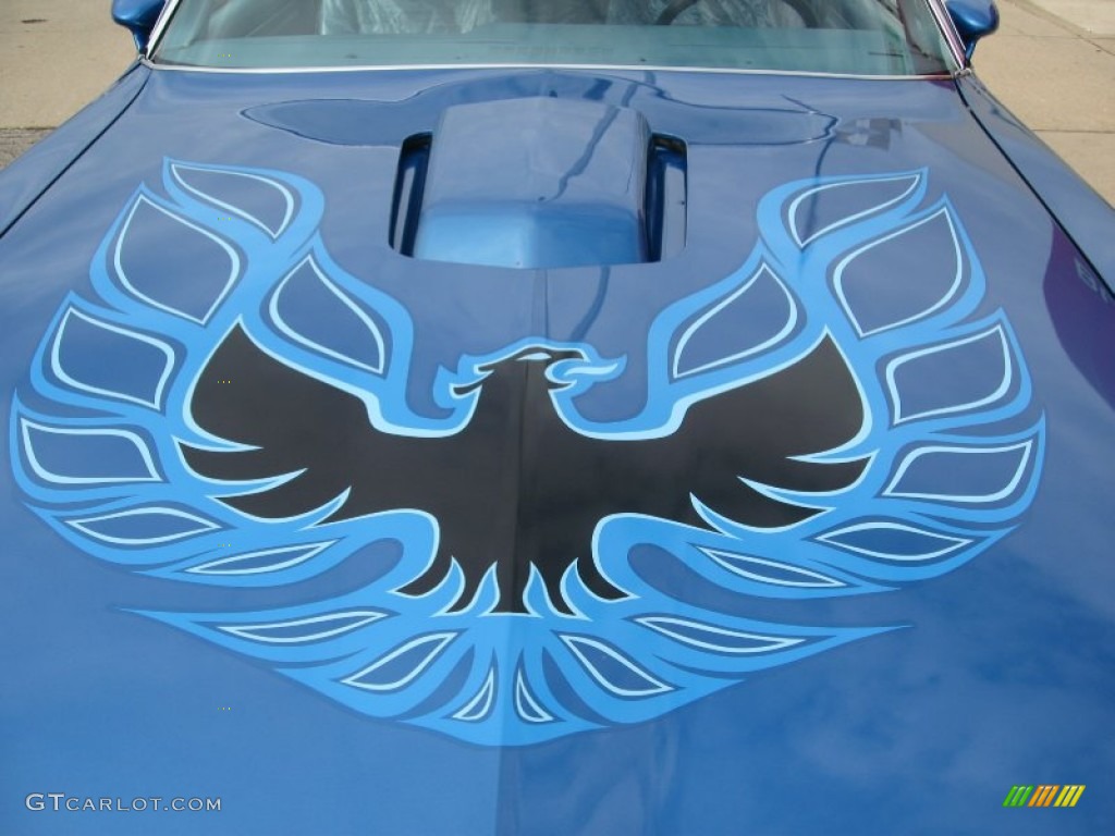 1978 Pontiac Firebird Trans Am Coupe Marks and Logos Photo #58381986
