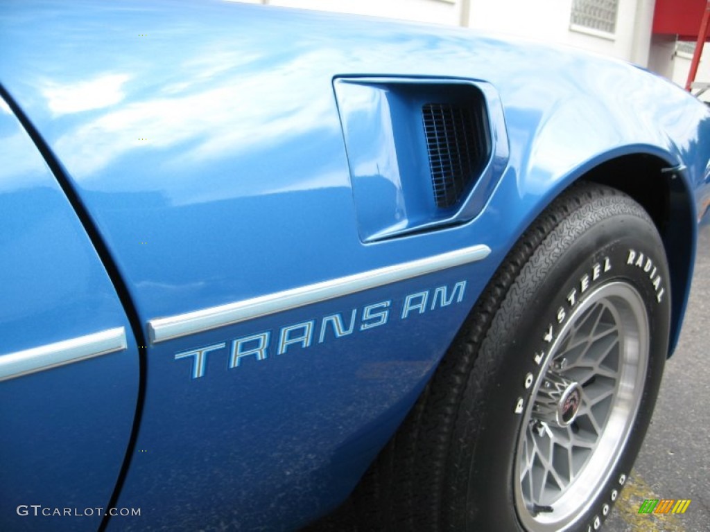 1978 Pontiac Firebird Trans Am Coupe Marks and Logos Photo #58382018