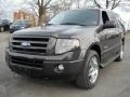 Carbon Metallic 2007 Ford Expedition Limited 4x4