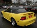 2000 Zinc Yellow Ford Mustang GT Convertible  photo #4