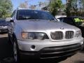 2001 Titanium Silver Metallic BMW X5 4.4i  photo #3