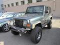 2005 Deep Beryl Green Pearl Jeep Wrangler X 4x4  photo #3