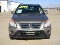 Sahara Sand Metallic - CR-V SE 4WD Photo No. 2