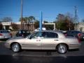Light Parchment Gold Metallic - Town Car Executive Photo No. 5