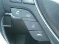 2009 Palladium Metallic Acura TL 3.7 SH-AWD  photo #26