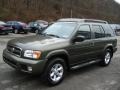 Canteen Green Metallic - Pathfinder SE 4x4 Photo No. 3